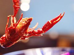 -潮三爷砂锅焗海鲜·生腌·海鲜粥(朝晖店)