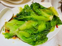 白灼有机生菜-老廣新意-全天茶点(宝能店)