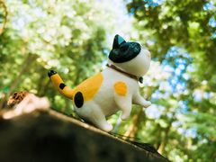 -广州市流溪河国家森林公园