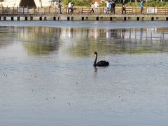 -天津东丽湖风景区