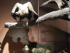 -大庆市博物馆