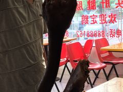 -二八鸥汀老鹅(金涛庄店)