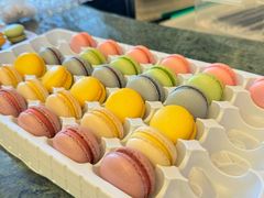 -海豚湾·大堂吧(厦门佰翔波特曼七星湾酒店)