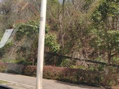 -青龙山国家森林公园
