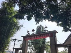 -大益茶庭(勐海会员中心店)