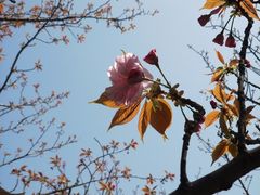 -上海市龙华烈士陵园