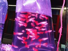 -华声天桥民俗文化园