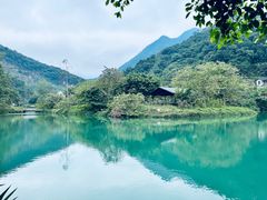 -紫云谷景区