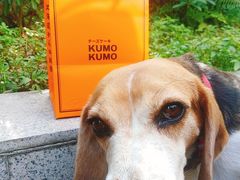 -KUMO KUMO甜品·冰淇淋(深圳壹方城店)