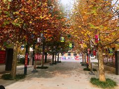 校门-清华大学附属小学商务中心区实验小学