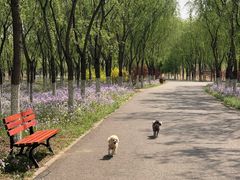-东郊湿地公园