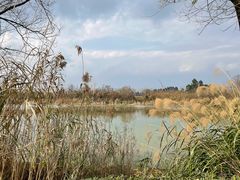 -白鹭湾湿地公园