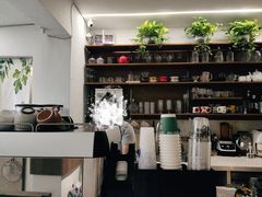-树咖啡tree coffee
