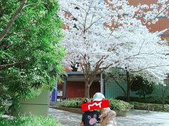 -STARBUCKS COFFEE(Roppongi Keyakizaka-dori)