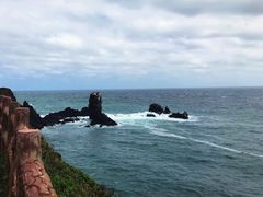 -涉地可支