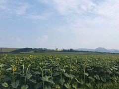 -光明小镇欢乐田园