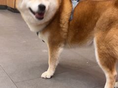 -联合动物医院(光谷诊疗中心)