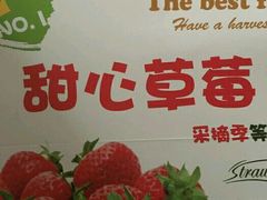 -甜心庄园·甜心草莓采摘园(西青中北店)