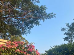 -鸿山公园
