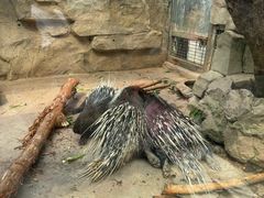 -广州长隆飞鸟乐园