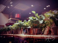 -川成串·自助串串香火锅(朝阳店)