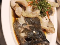 青花椒蒸龙胆鱼-闽和南(深圳万象城店)