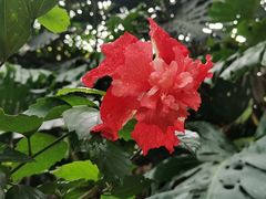 -上海辰山植物园