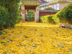 -青岛崂山太清宫