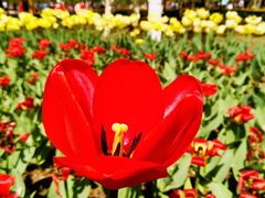 -长春公园(普阳街道)