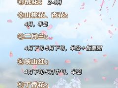 -沉浸北京·团建旅行·密室剧本杀·年会会议轰趴拓展