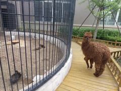 -沈阳市大东区海蓝花语幼儿园