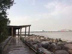 -吴淞炮台湾湿地森林公园烧烤区