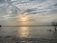 -宝安西湾红树林湿地公园