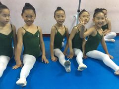 -陕西省小天鹅艺术团