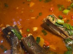 -千岛湖小鱼儿·淳安匠心农家菜