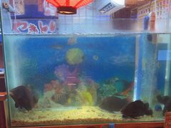 -鸟鹏烧鸟居酒屋(熙龙湾店)