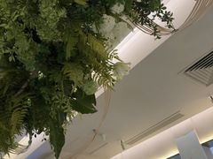 -Aqua Oasis 水天堂(太湖中心mall店)
