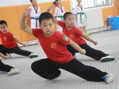 -武术世家少儿培训中心(首都体育学院店)