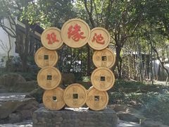 -杭州黄龙洞