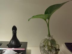 -宫七SPA·高端Massage(浦东大道店)
