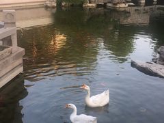-祝家花園(伯渎港店)