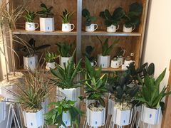 -Blueglass酸奶(财富购物中心店)