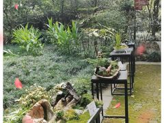 -灵隐飞来峰景区