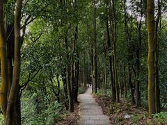 -火炉山森林公园