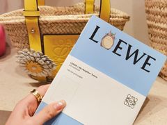 -LOEWE罗意威(北京SKP女装店(一层))