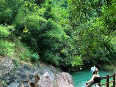 -广州白江湖森林公园