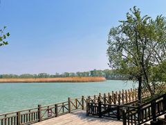 -野鸭湖国家湿地公园