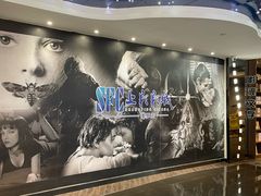 -SFC动漫主题影院(美罗城店)