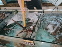 -东城食府·手工点心·37年老字号(虎门店)