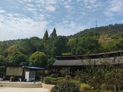 -三江森林温泉度假区